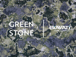 MIMETISMO FODERATO Biavati   SCBZMIMFOD