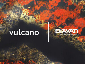 MIMETISMO SU LISCIO Biavati   SCBZMIMVER